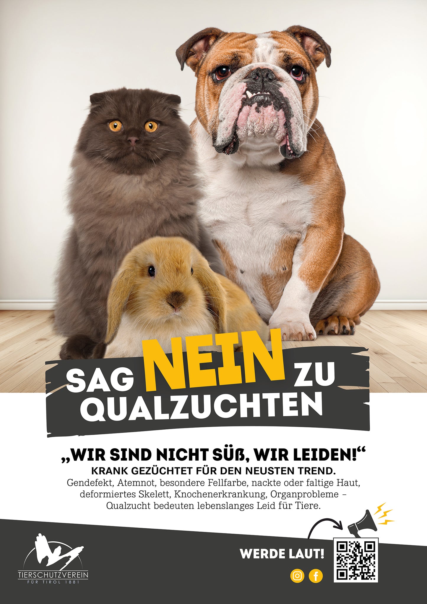 Poster Qualzuchten