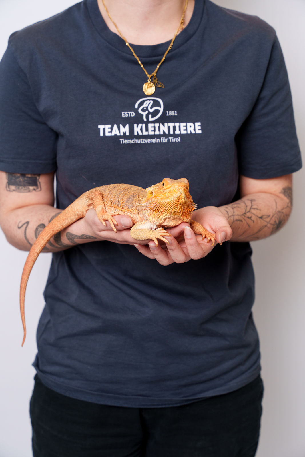 T-Shirt Team Hunde/ Katzen/ Kleintiere/ Wildtiere